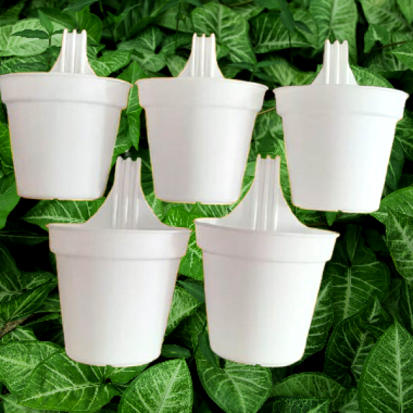 12 cm Grill Planter Tob White 5 PCS