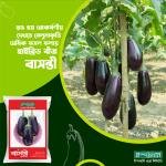 Brinjal seed-Bashanti mini pack