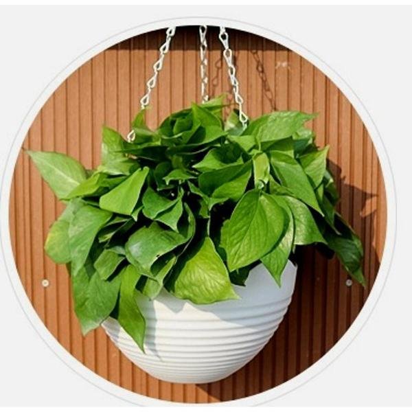 Hanging flower pot plastic  1pcs