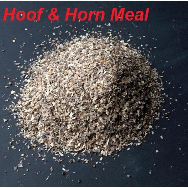 শিং কুচি  ১ কেজি