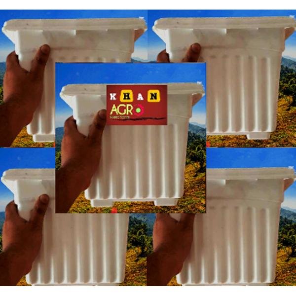 10 Inchi Square Tob White 5 pcs Set