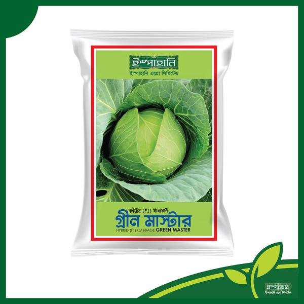 Cabbage seeds-Badhakopi Green Master mini pack