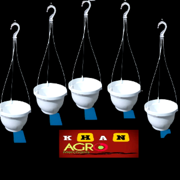 7 inchi white flower pot 5Pcs