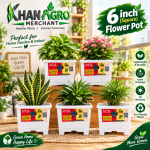 6 inchi flower pot 5 pcs set