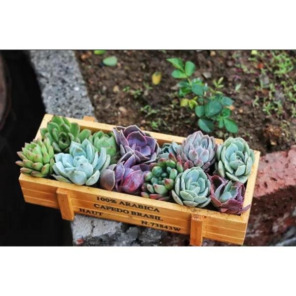 Wooden Flowerpot Succulent Plants Pot Wooden Box one Pcs Wooden Flowerpot Succulent Plants Pot