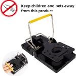Mouse Trap