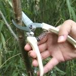 Pruning Shears,Gardening Pruning Shears Scissors,Safety Lock,Less Effort,for Cutting Flowers, Plants and Small Bushes Every Family