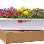 Window Boxes Planter 17 Inches