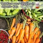 Bio decomposer Kitchen Waste Compost Maker for Organic Compost, Food Waste decomposer for Kitchen Waste