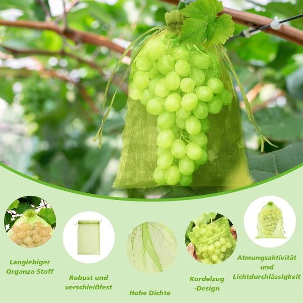 Fruit Protection Bag (15*20cm)Garden Insect-proof And Bird-proof Bagging 10 Pcs