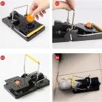 Mouse Trap