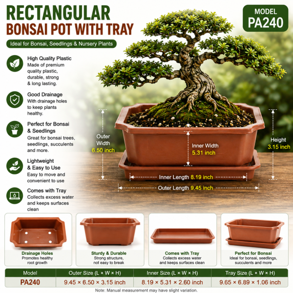 Rectangular Bonsai Pot with Tray 9 inchi