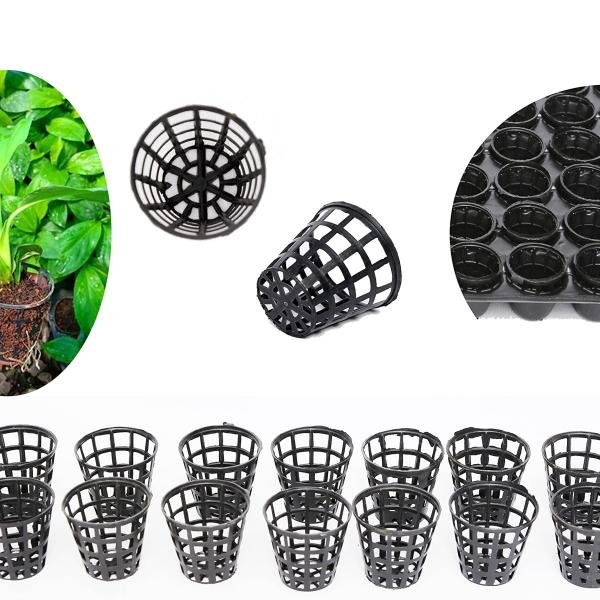 Germination cup- 50 pcs