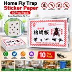 Home Fly Trap Sticker Paper 10Pcs pack