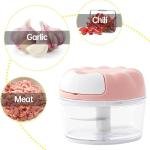 Garlic Chopper, Portable Food Chopper, Garlic Press for Chop Onion, Ginger, Vegetable, Pepper, Spice, Meat, Baby Food, Food Processor