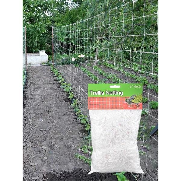 5*30ft plant climbing net vine net for agriculture
