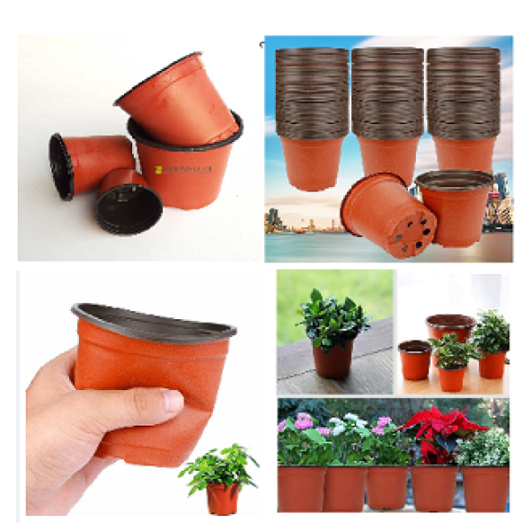 Nursery pot 3.5 inchi 20 pcs