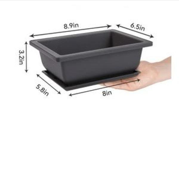 Bonsai Training Pot 1 Pcs with  Tray - 9 inchi