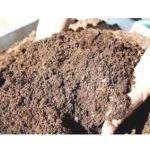 Coco peat Media For Seedling 2 kg