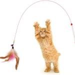 Cat Feather Toys Cat Toys Funny Cat Stick,Cat Wand Toy & Natural Feather with Bell