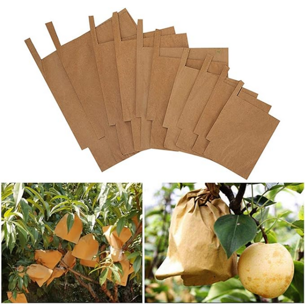 Mango fruit protection bag 10Pcs