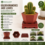 Indoor Decorative Flower Pot