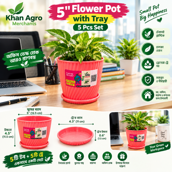 5 Inch Flower Pot with Tray – 5 Pcs Set