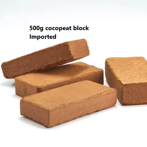 Coco Peat Block 500gm