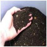 Vermicompost # ভার্মিকম্পোস্ট গন্ধ বিহীন কেঁচো বিহীন ১ কেজি প্যাক