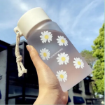 Water Bottle(500 ml)