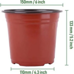 Nursery Pots 10 Pcs 6 Inch